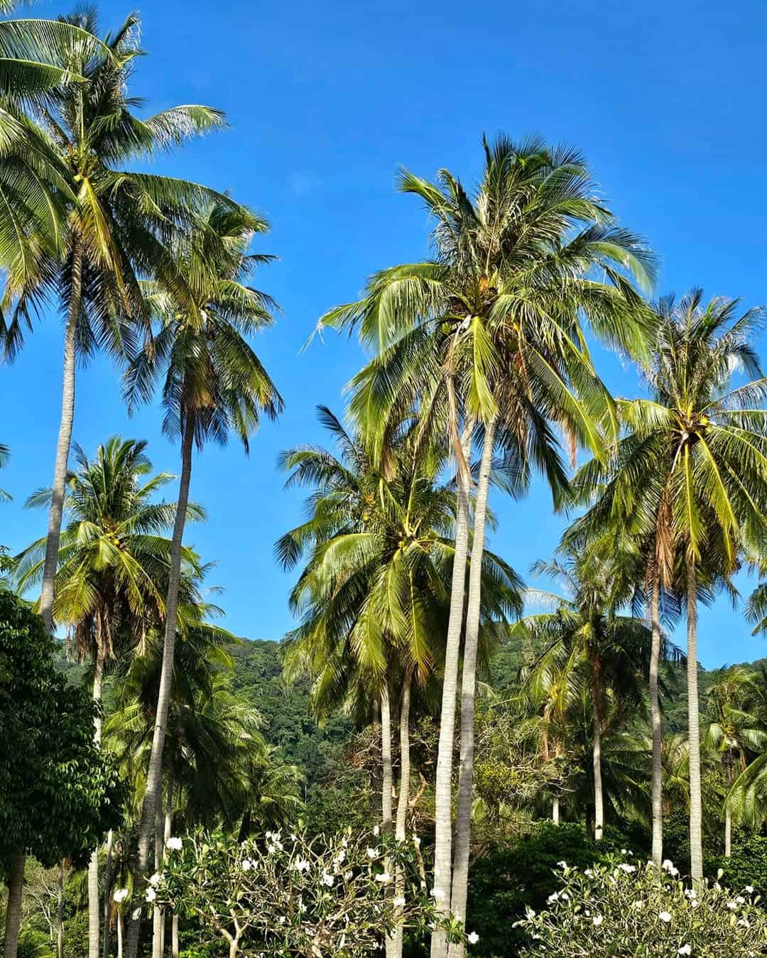 Bamboo Bay, Koh Lanta Bamboo Bay, Koh Lanta