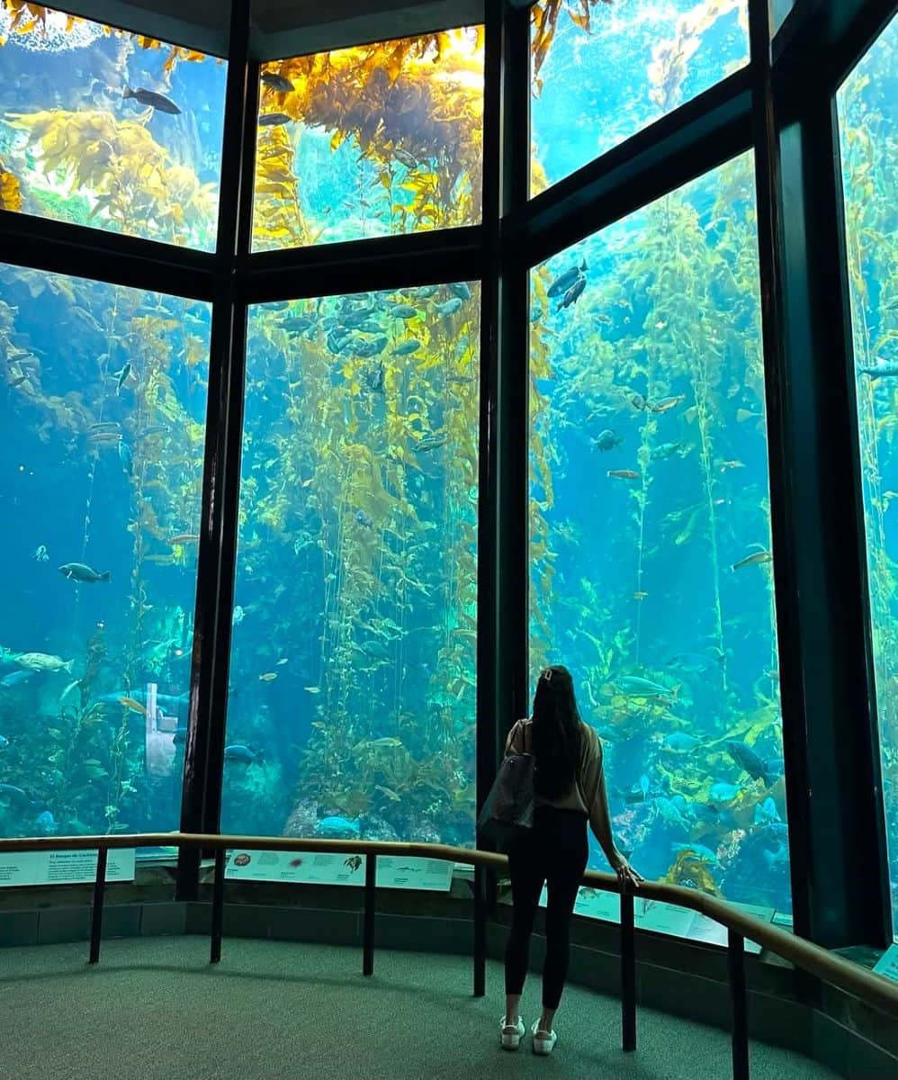 Cannery Row Cannery Row