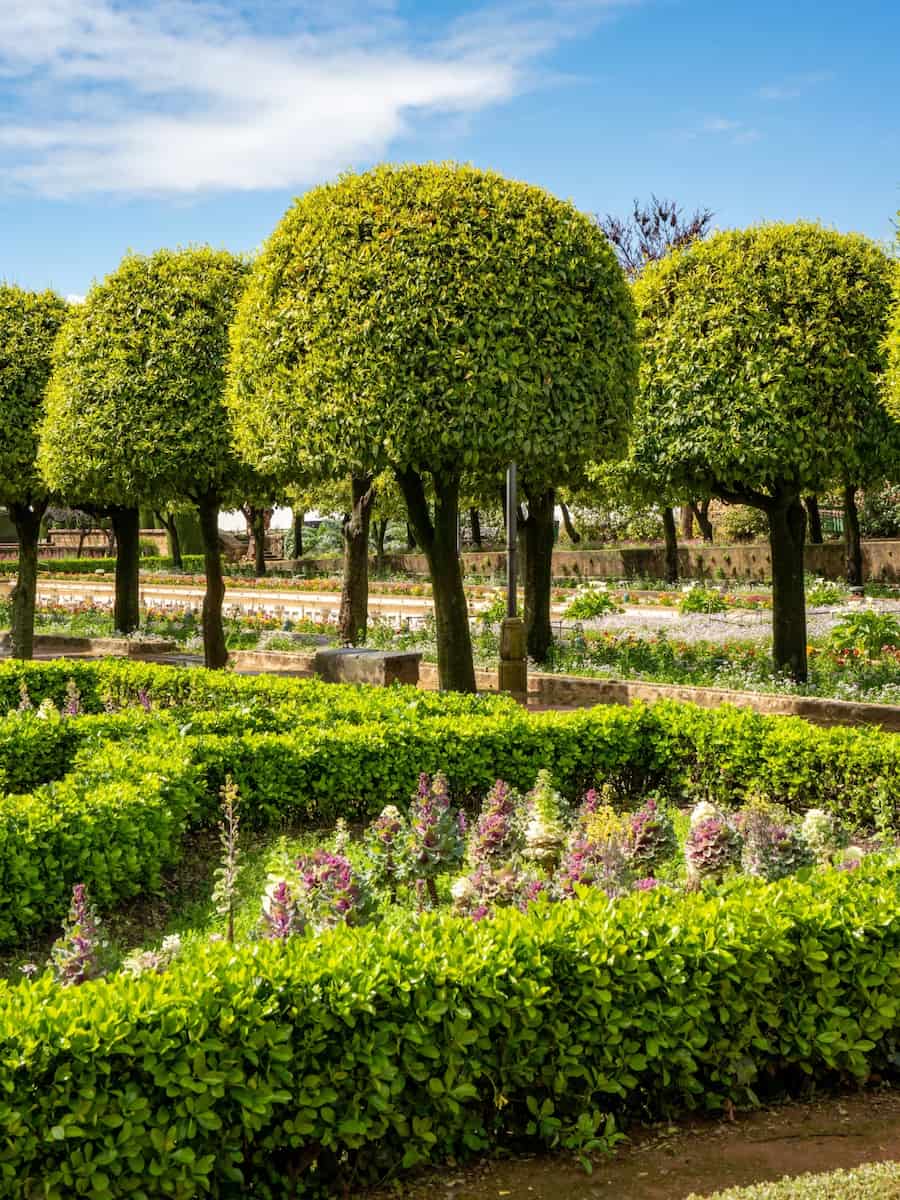 Cordoba, Spain Cordoba, Spain