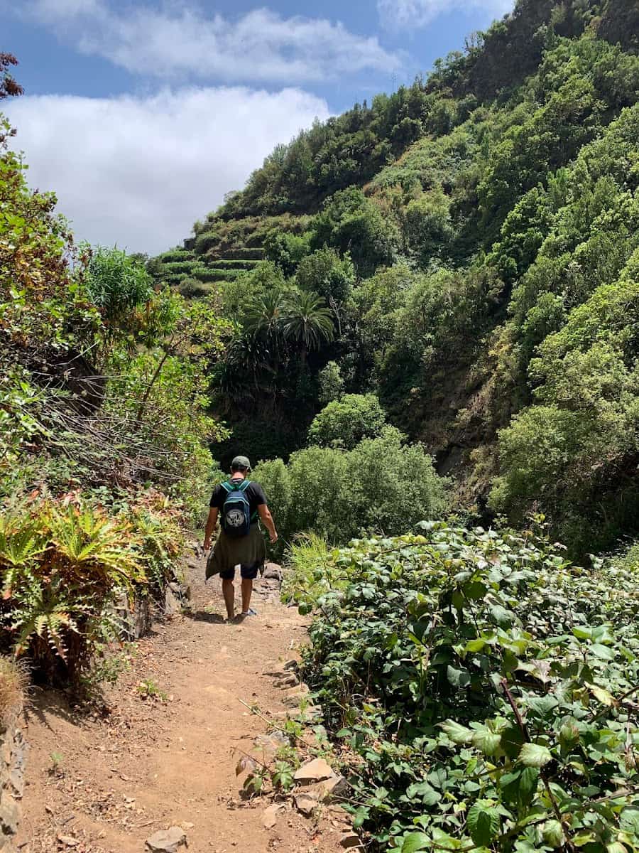 El Cedro, La Gomera El Cedro, La Gomera