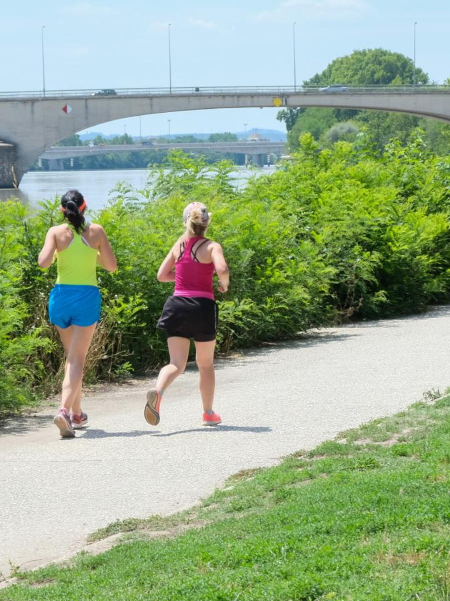 La Barthelasse, Avignon La Barthelasse, Avignon