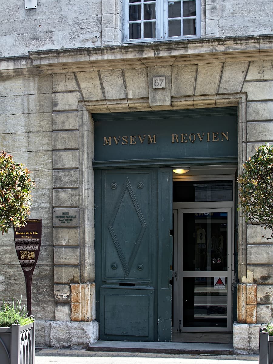 Musée Requien, Avignon Musée Requien, Avignon
