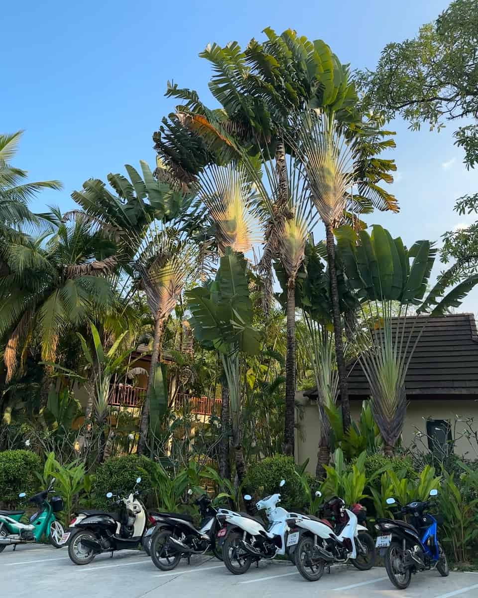 Nang Thong Beach, Khao Lak Nang Thong Beach, Khao Lak