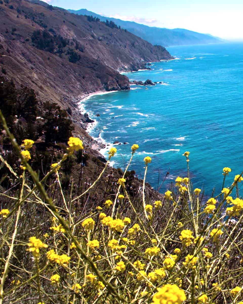 Pacific Grove Pacific Grove