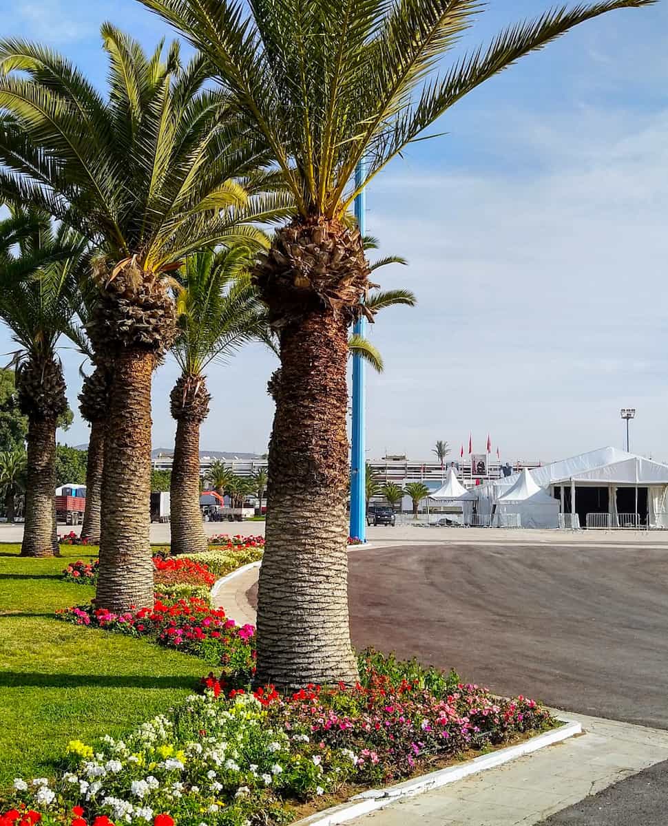 Avenue Hassan II Agadir Avenue Hassan II Agadir