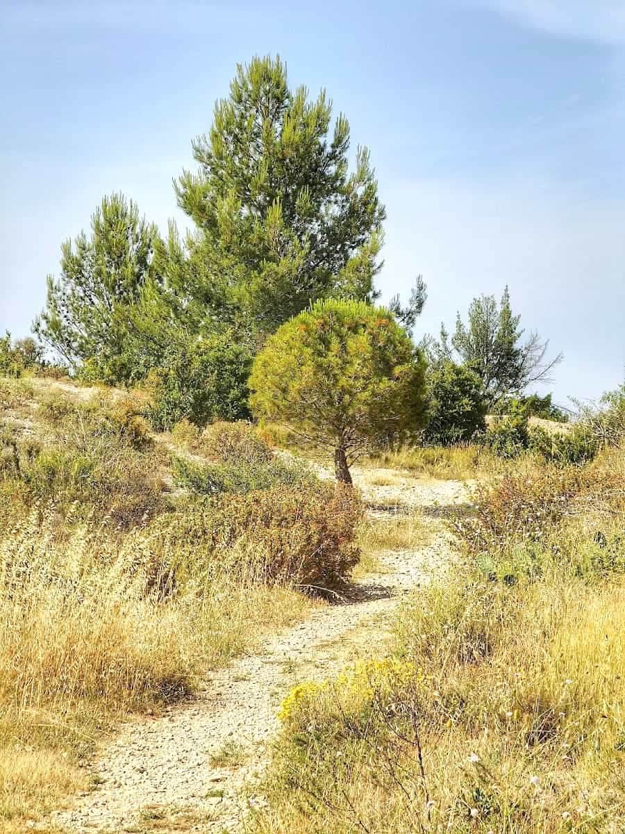 Saint Jacques de Compostelle, Avignon Saint Jacques de Compostelle, Avignon