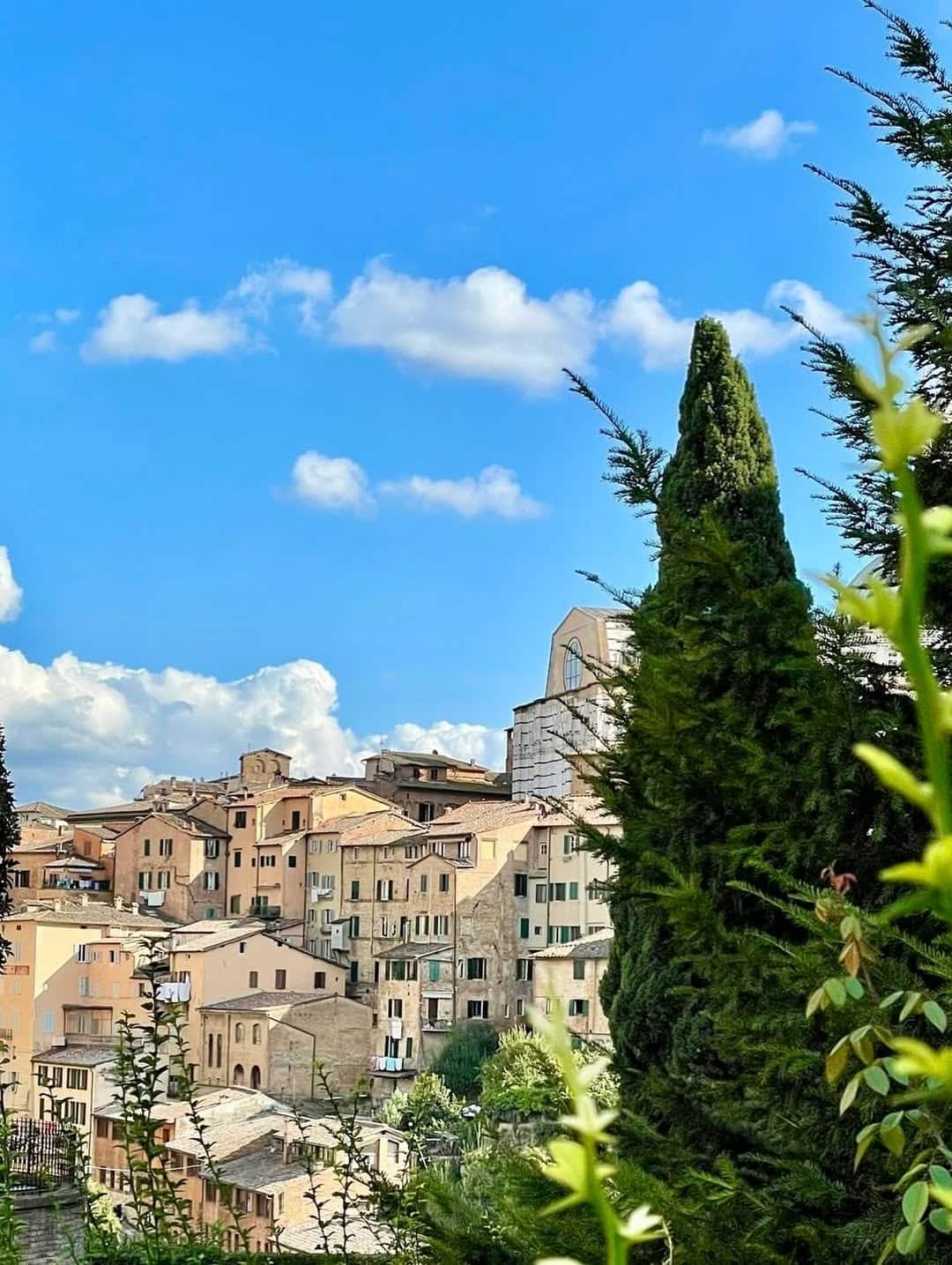 Torre District, Siena Torre District, Siena