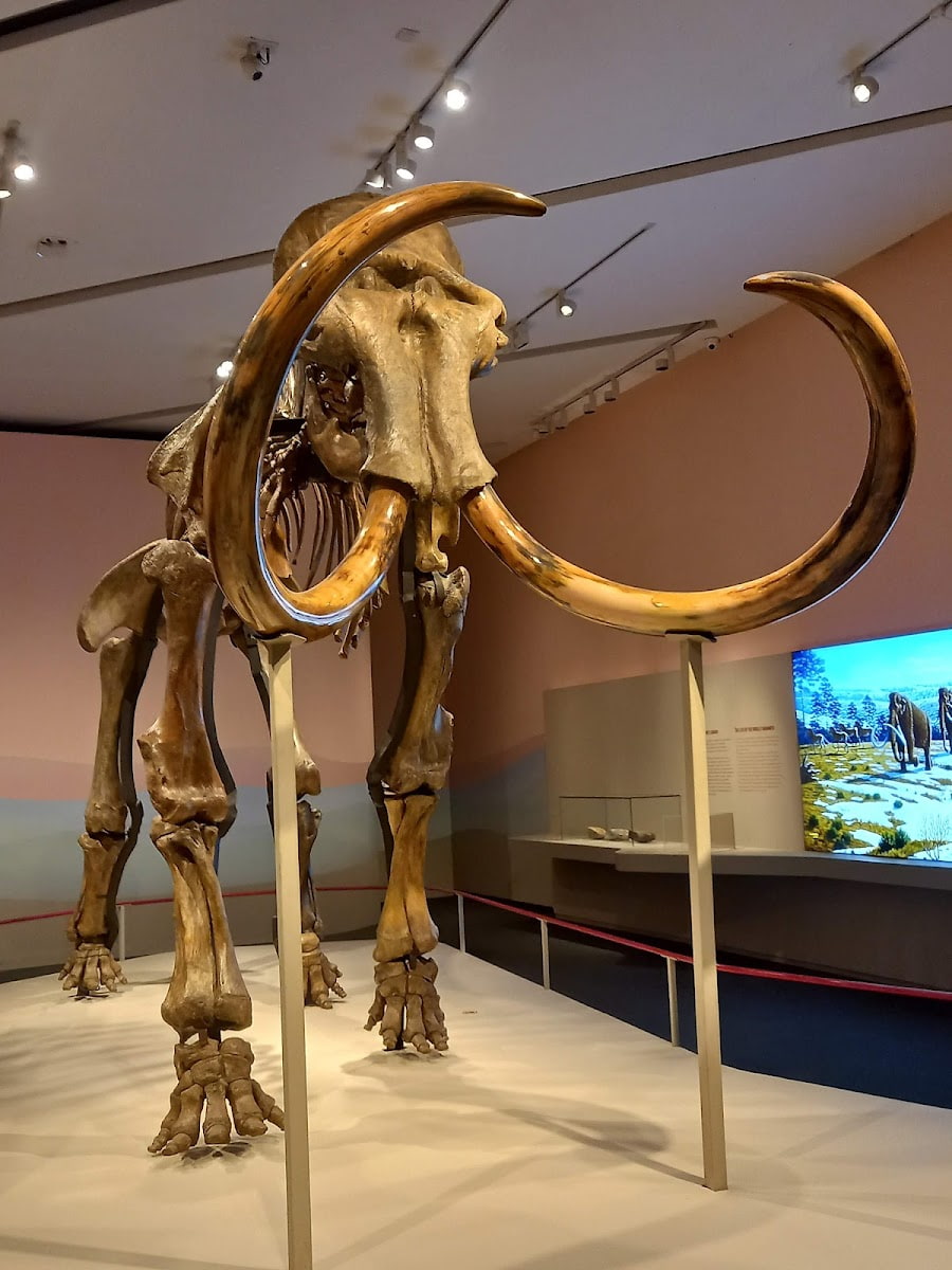 CaixaForum Zaragoza, Zaragoza CaixaForum Zaragoza, Zaragoza