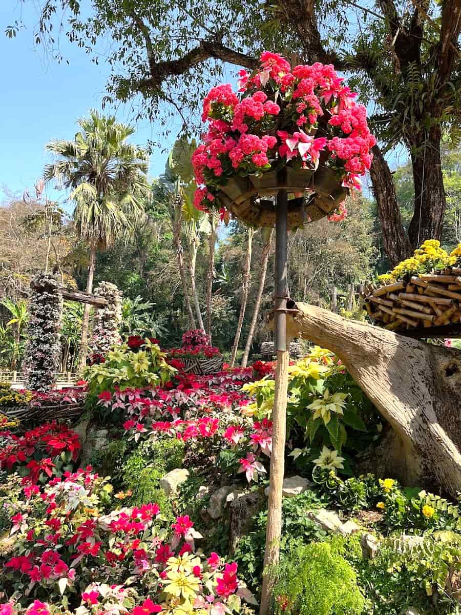 Doi Tung, Chiang Rai Doi Tung, Chiang Rai