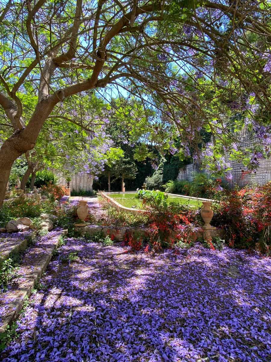 Giardini Ipogei, Favignana Giardini Ipogei, Favignana