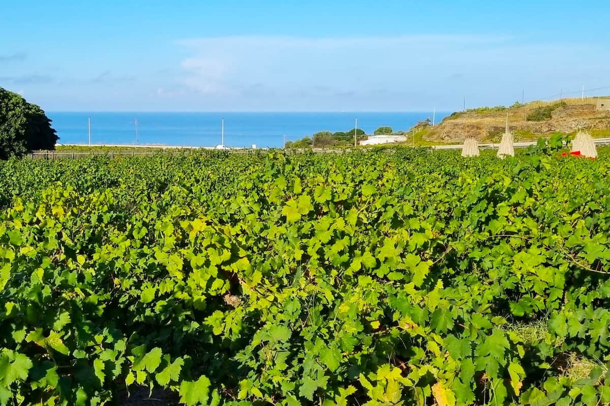 Mursia & Cossyra, Pantelleria