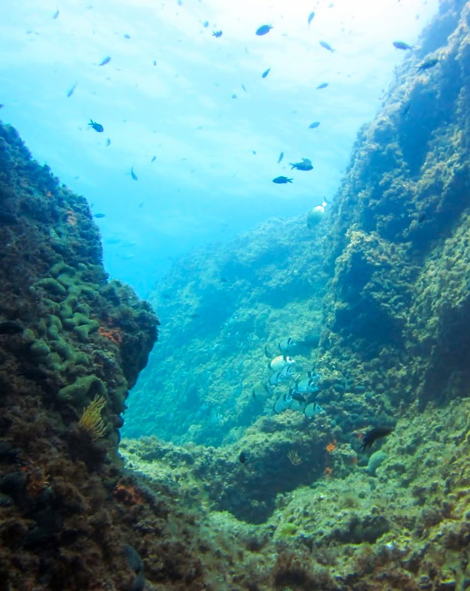 Procida Diving Center, Italy Procida Diving Center, Italy