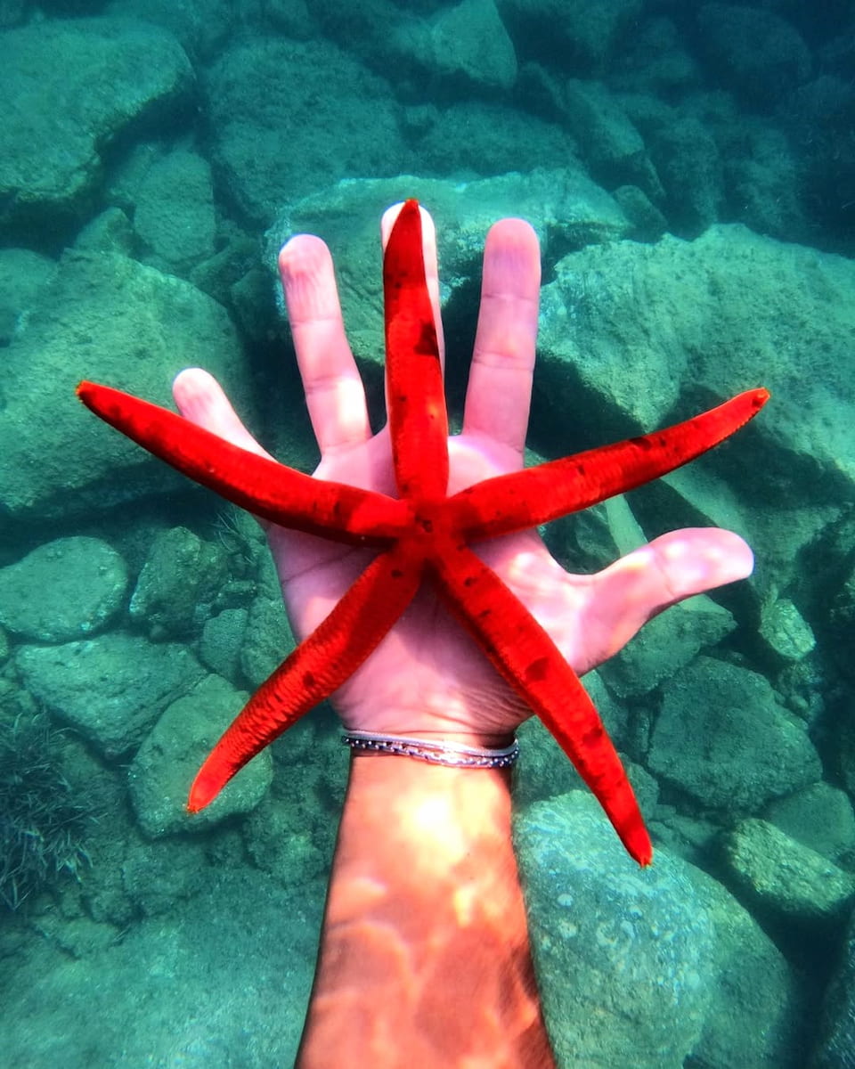 Procida Diving Center, Italy Procida Diving Center, Italy