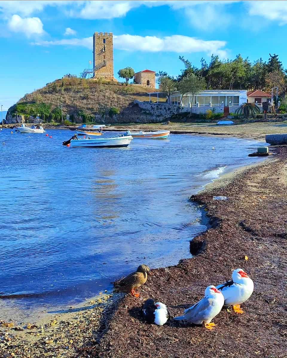 Kassandra, Greece Kassandra, Greece