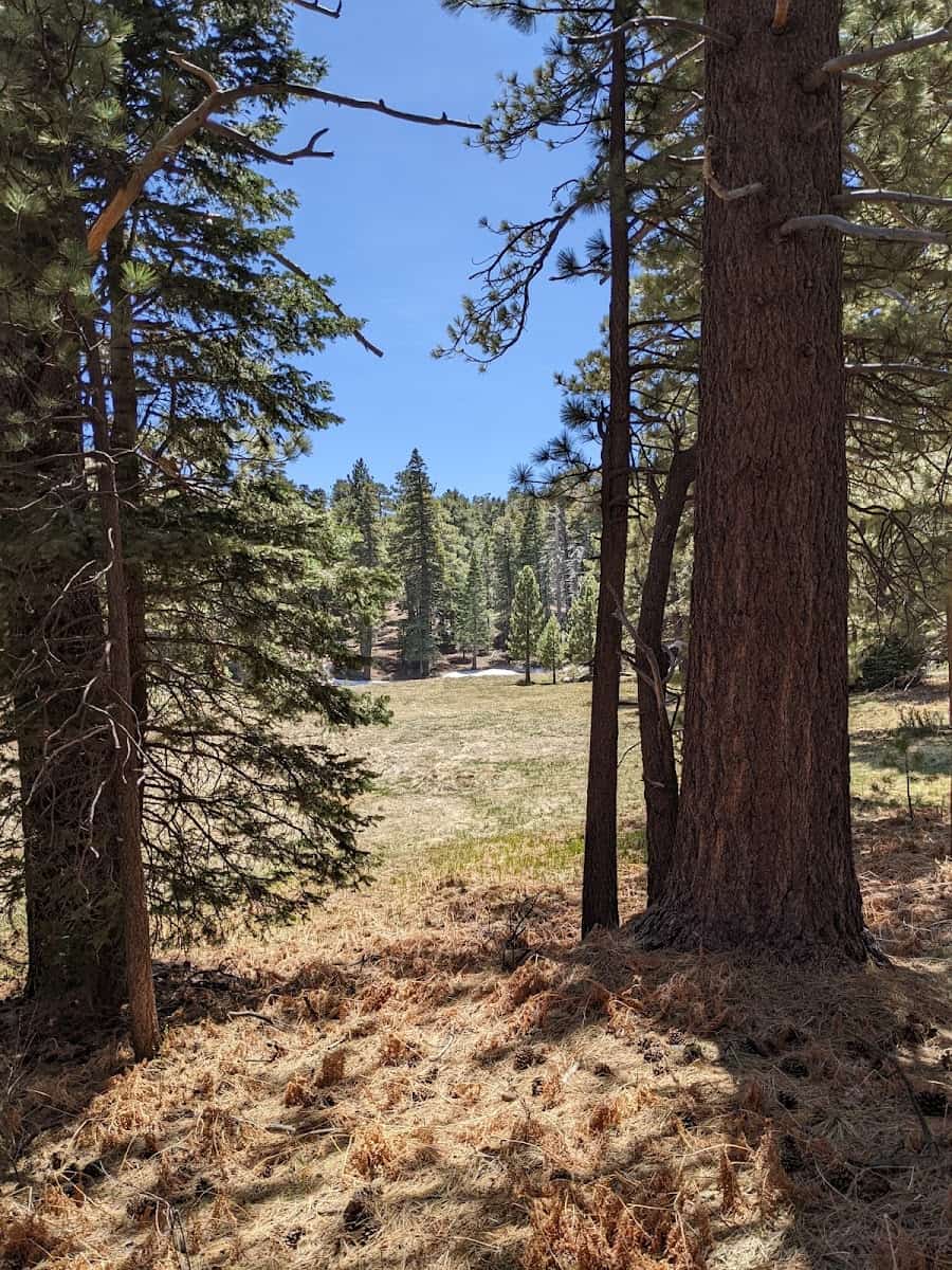 San Jacinto Mountain, Palm Springs San Jacinto Mountain, Palm Springs